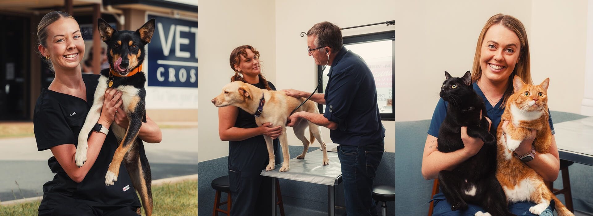 Trusted by Owners, Respected by Pets