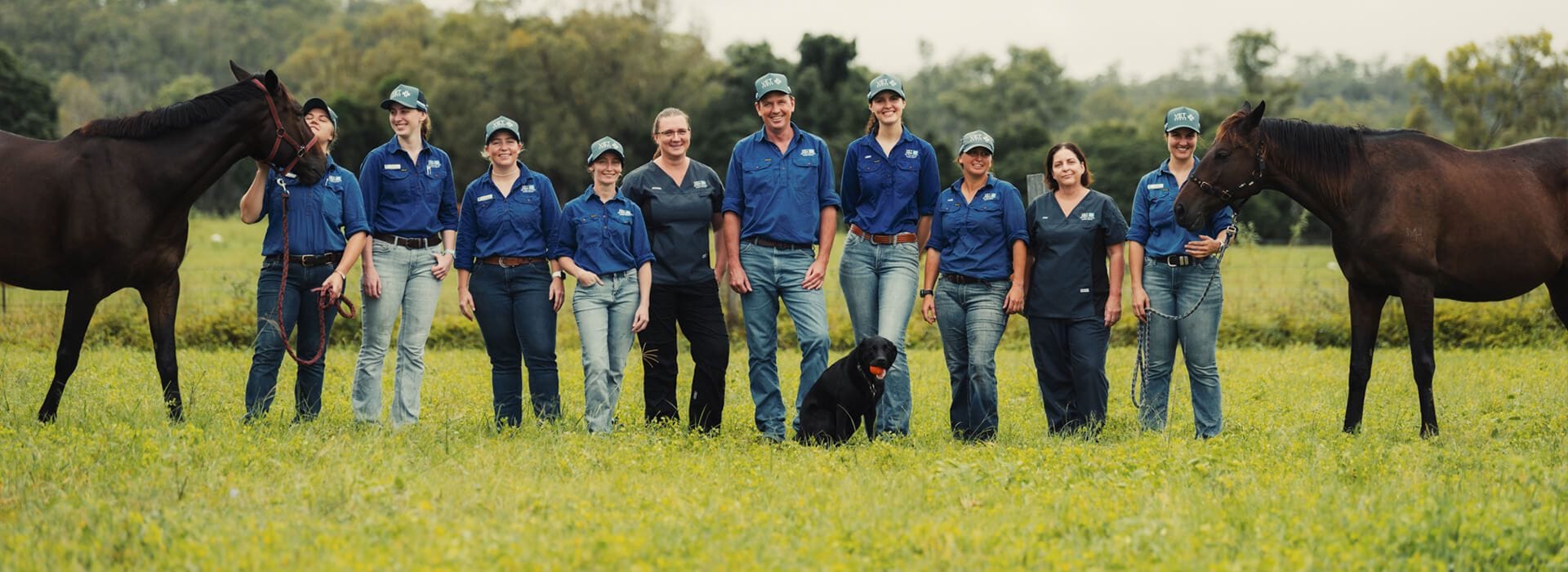 Vet Cross Veterinary Team