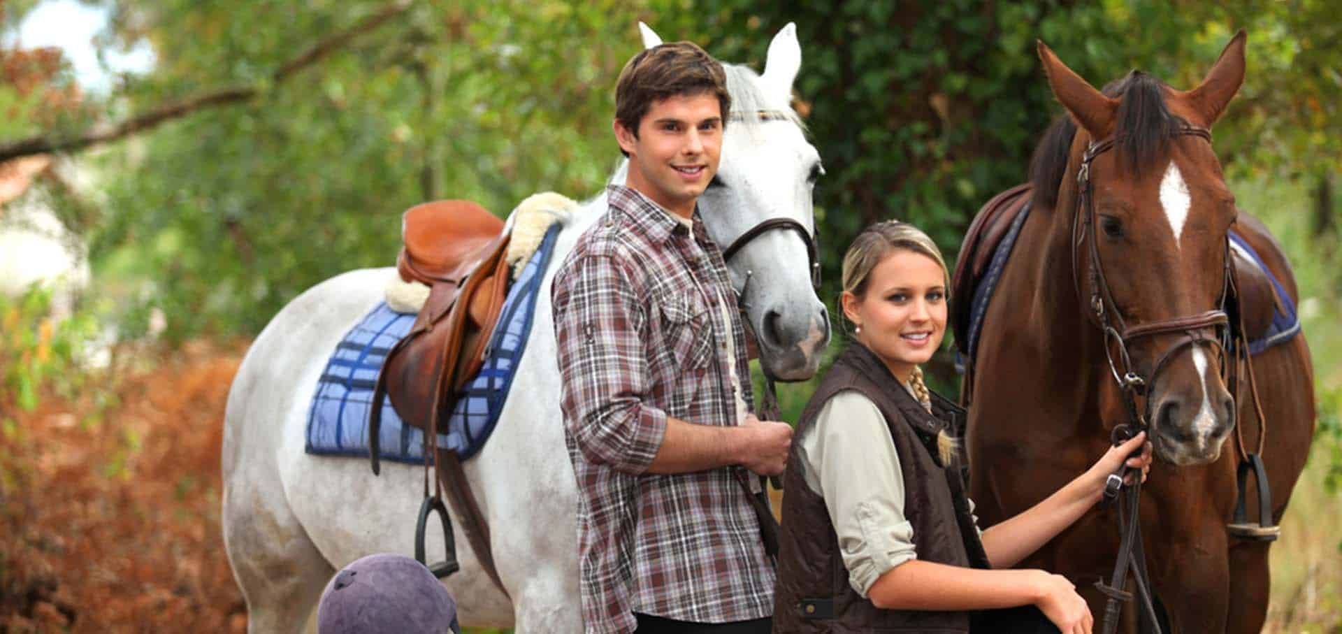 Gelding Gelding