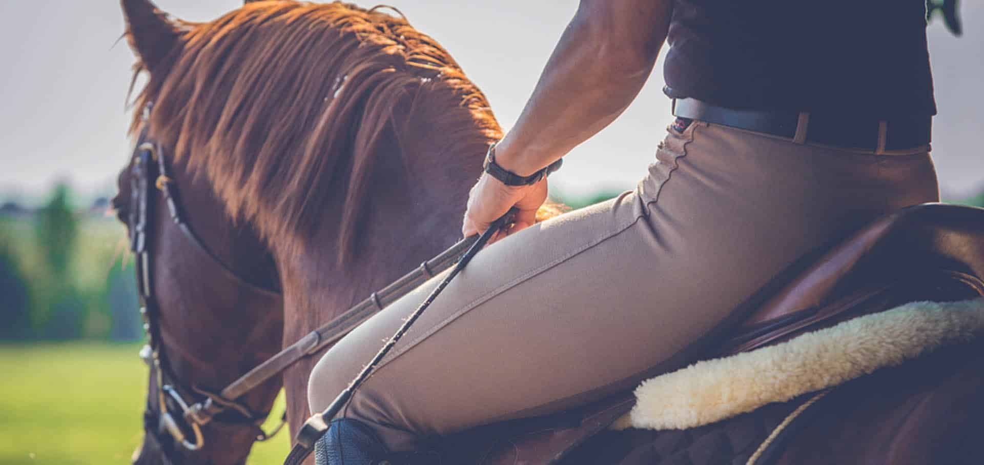Laminitis Laminitis