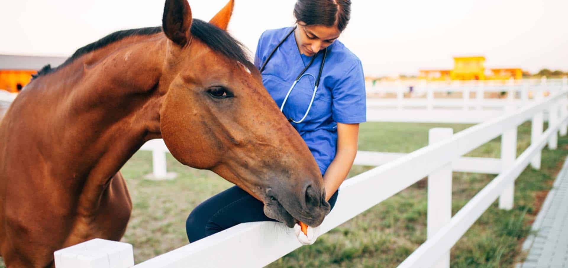 Strategic Worming Strategic Worming