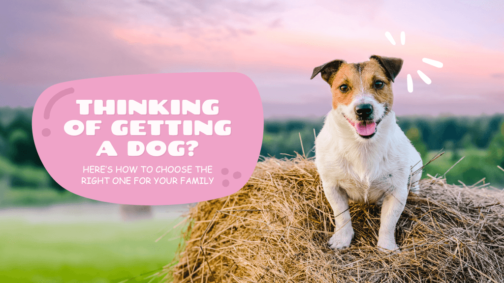 Choosing the Right Dog for Your Family and Lifestyle