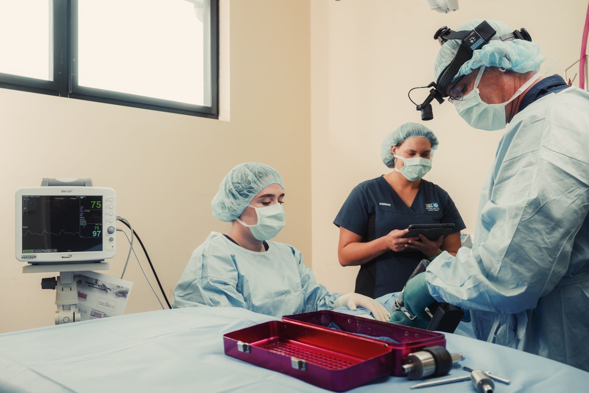 TPLO Surgery for Dogs in Bundaberg TPLO Surgery for Dogs in Bundaberg