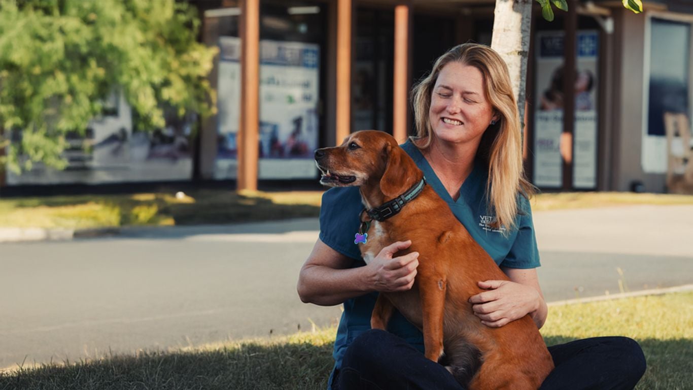 The Positive Impact Pets Have on Our Health The Positive Impact Pets Have on Our Health