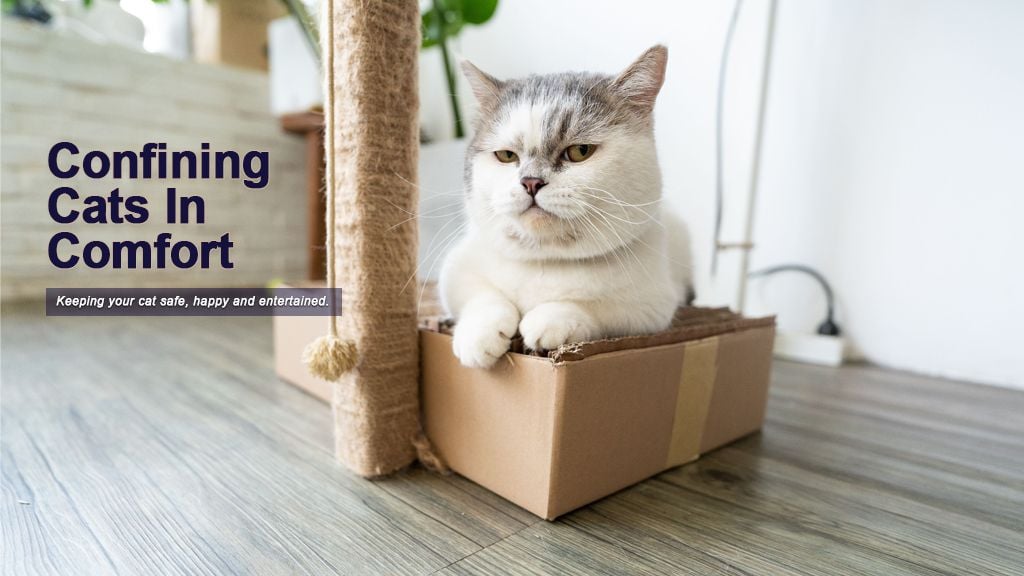 Confining Cats in Comfort: Creating a Fantastic Feline Fun Park