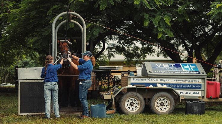 On-farm Diagnostics For Large Animals On-farm Diagnostics For Large Animals