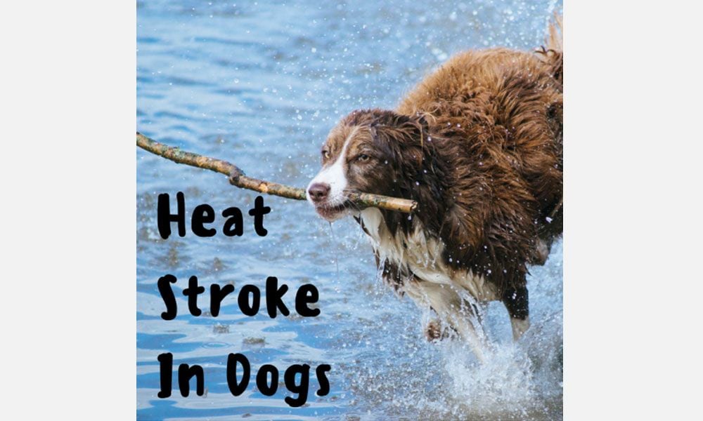 It&rsquo;s Gettin&rsquo; Hot In Here&hellip;