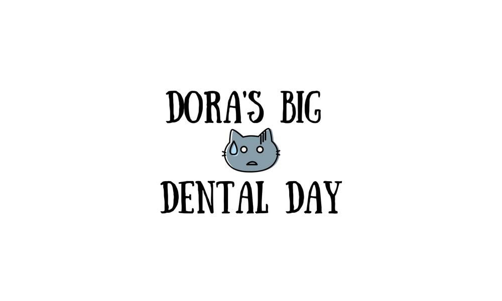 Dora’s Big Dental Day
