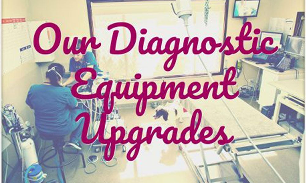 Diagnostic Equipment Upgrades Diagnostic Equipment Upgrades