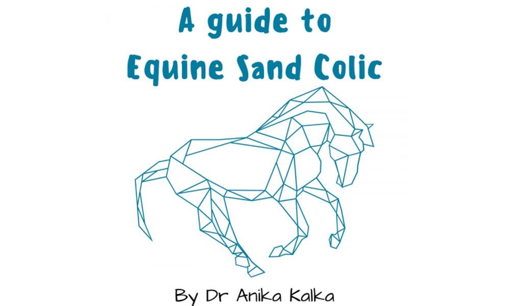 Equine Sand Colic with Dr Anika Kalka Equine Sand Colic with Dr Anika Kalka