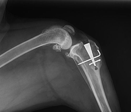 4CYTE – A Testimonial 4CYTE – A Testimonial