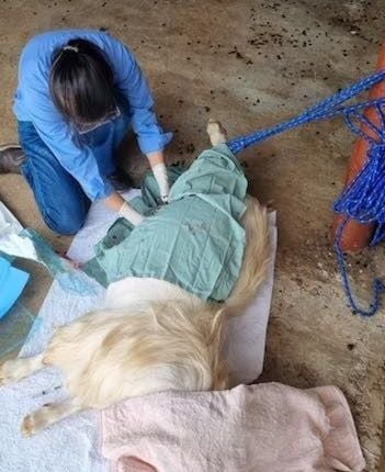 MINOR FIELD SURGERIES MINOR FIELD SURGERIES