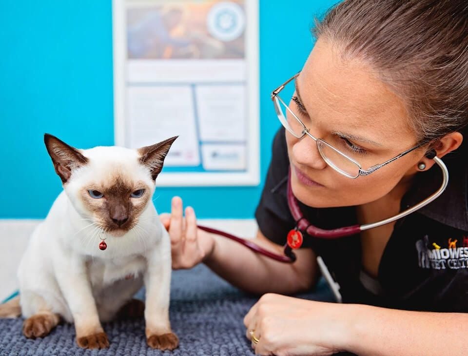 ROUTINE CHECK UPS