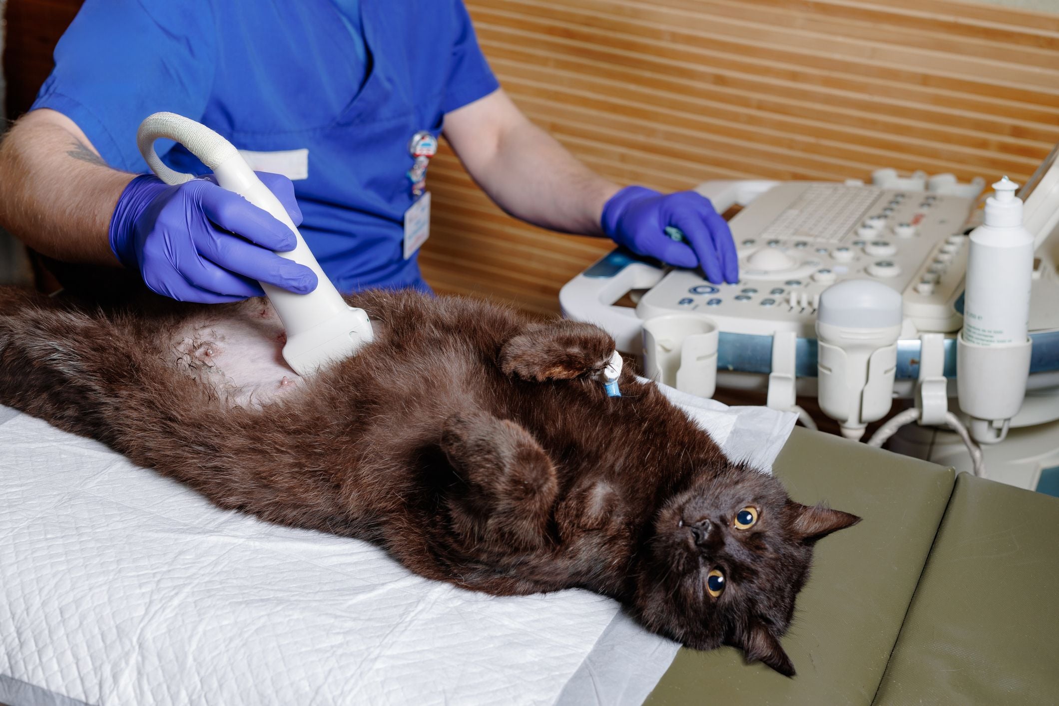 Ultrasound