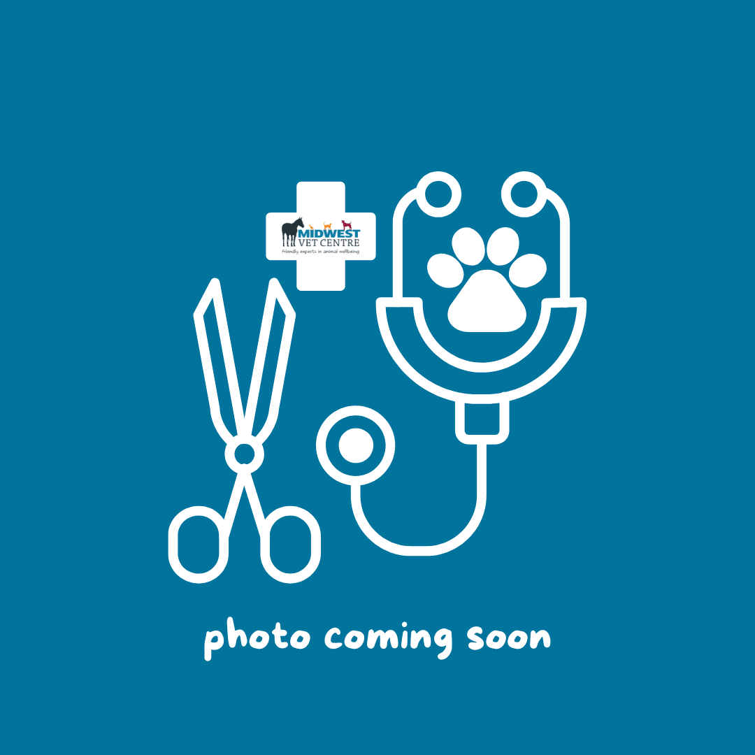 Hilary Chok, BSc DVM Hilary Chok, BSc DVM