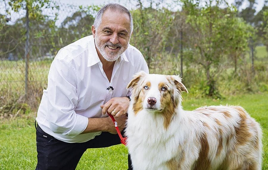 How the VSOS mobile vet specialists helped increase this clinic’s profitability How the VSOS mobile vet specialists helped increase this clinic’s profitability