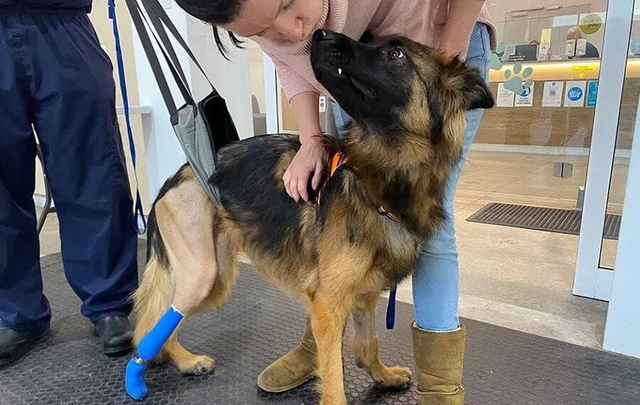 VSOS Surgeon successfully fits new Bionic limb in Australian first. VSOS Surgeon successfully fits new Bionic limb in Australian first.