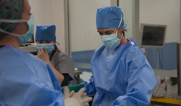 Beyond Possible Cancer Treatment in Dogs: VSOS Pioneers Minimally Invasive Innovation for Dogs