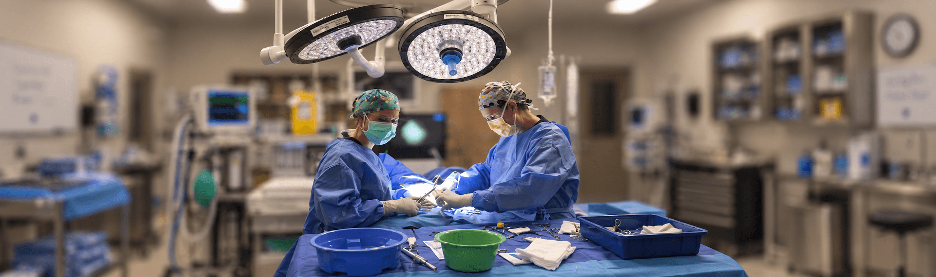 Bladder Stones in Dogs and Cats: Signs and Minimally Invasive Treatment Options