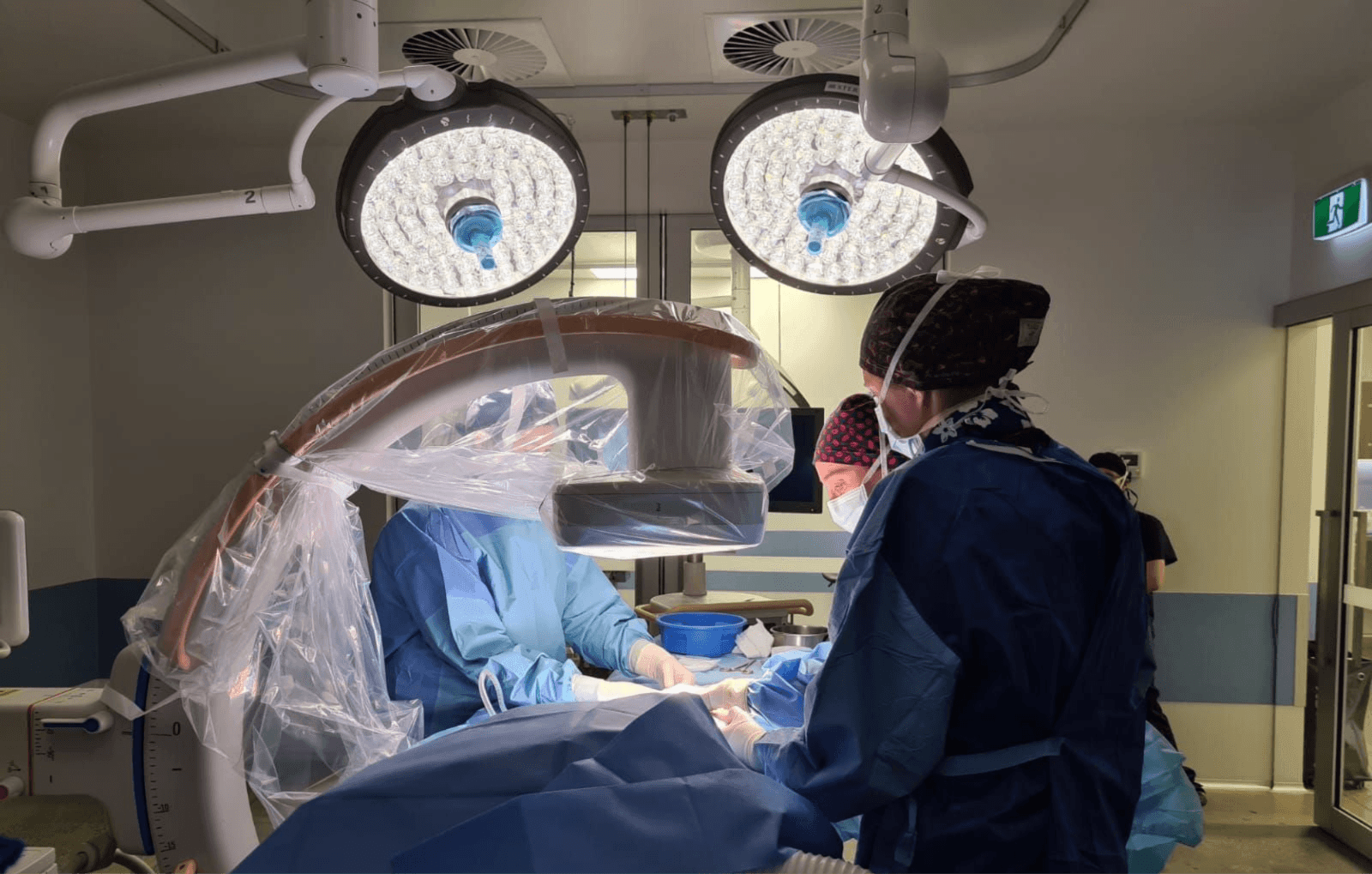 Interventional Radiology & Endoscopy Veterinary Sydney