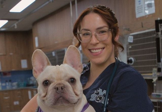 Dr Dana Kalgovas