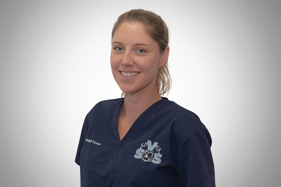 Dr Abigail Turner Dr Abigail Turner