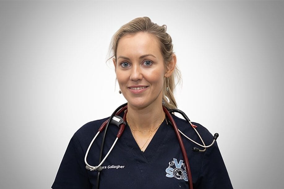 Dr Barbara Gallagher