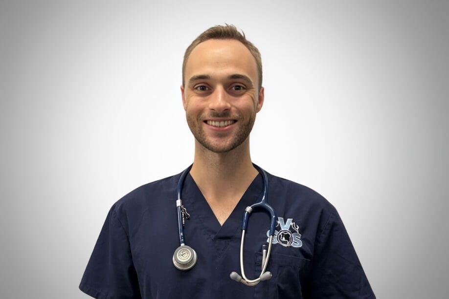 Dr Conor Davis