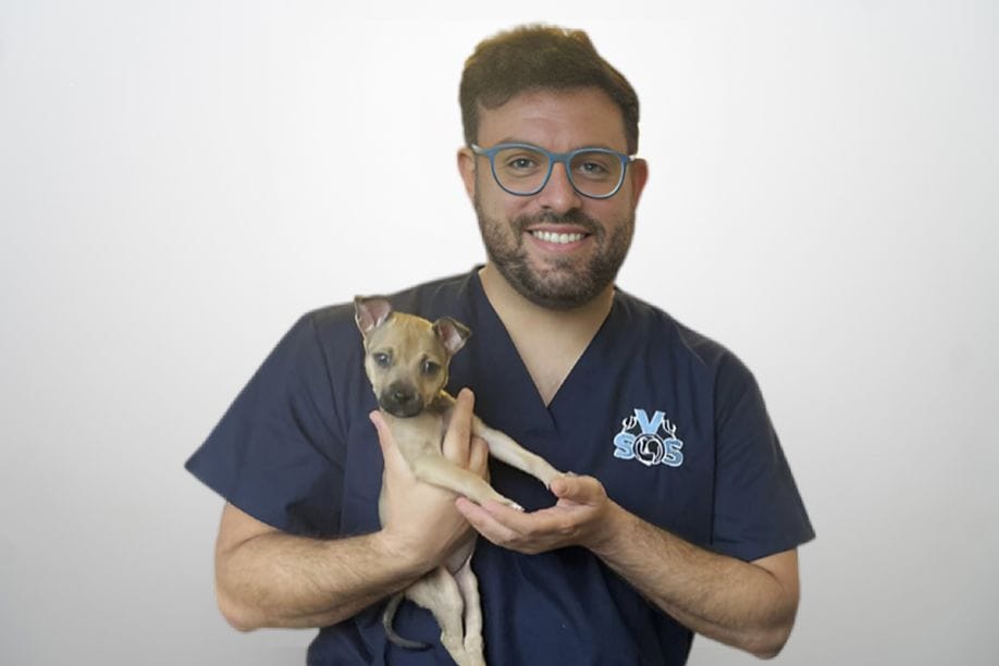 Dr Diego Alza Salvatierra