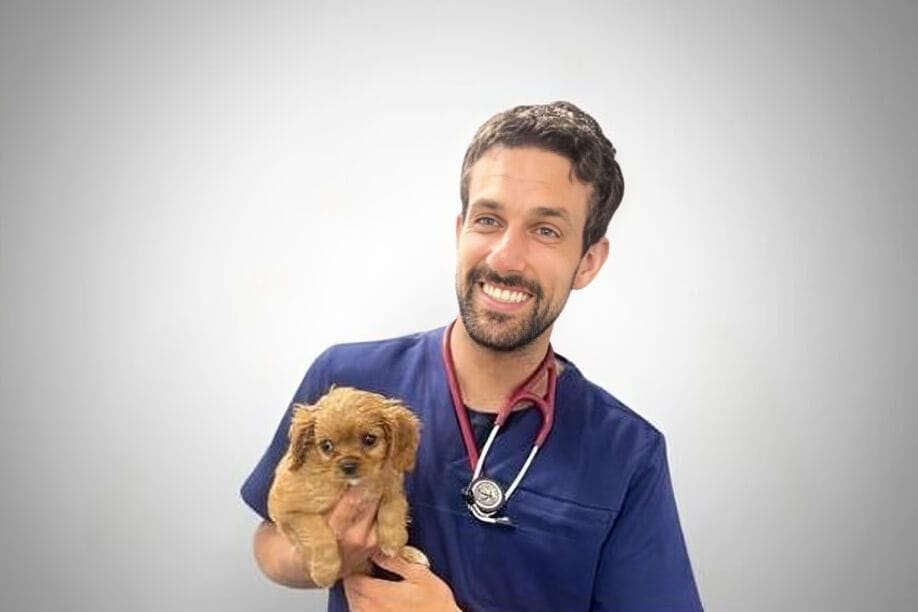 Dr. Iñaki Prado Checa