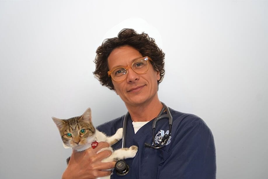 Dr Matteo Bordicchia