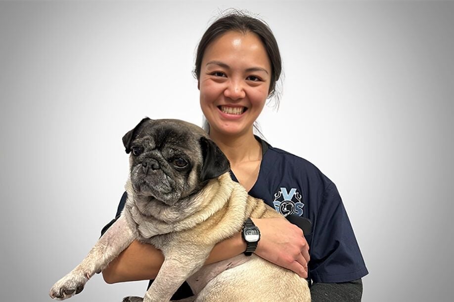 Dr Reiko Yamazaki-Lai Dr Reiko Yamazaki-Lai