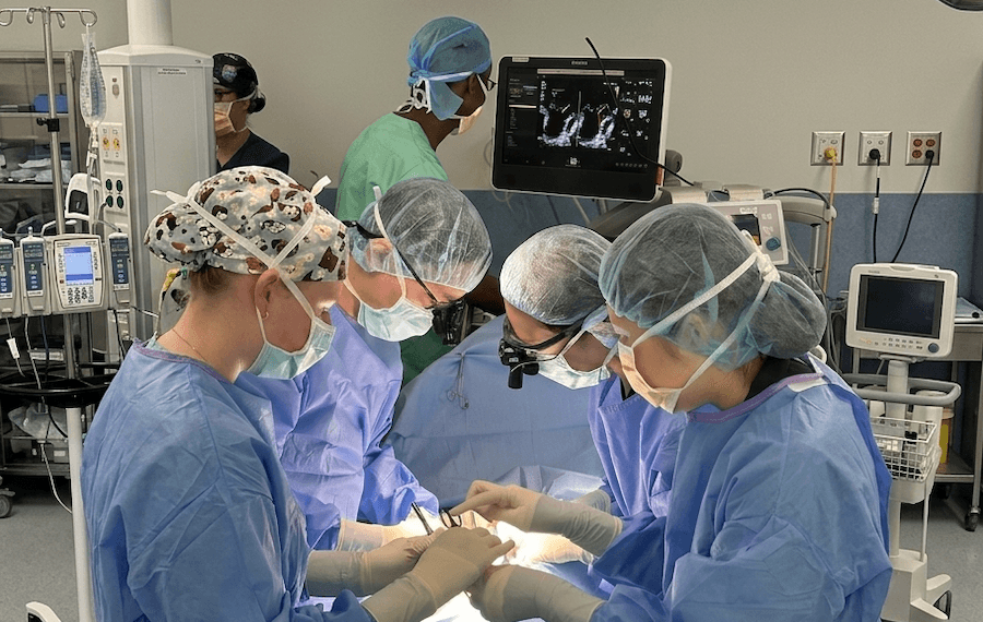 Mitral Valve Surgery Mitral Valve Surgery
