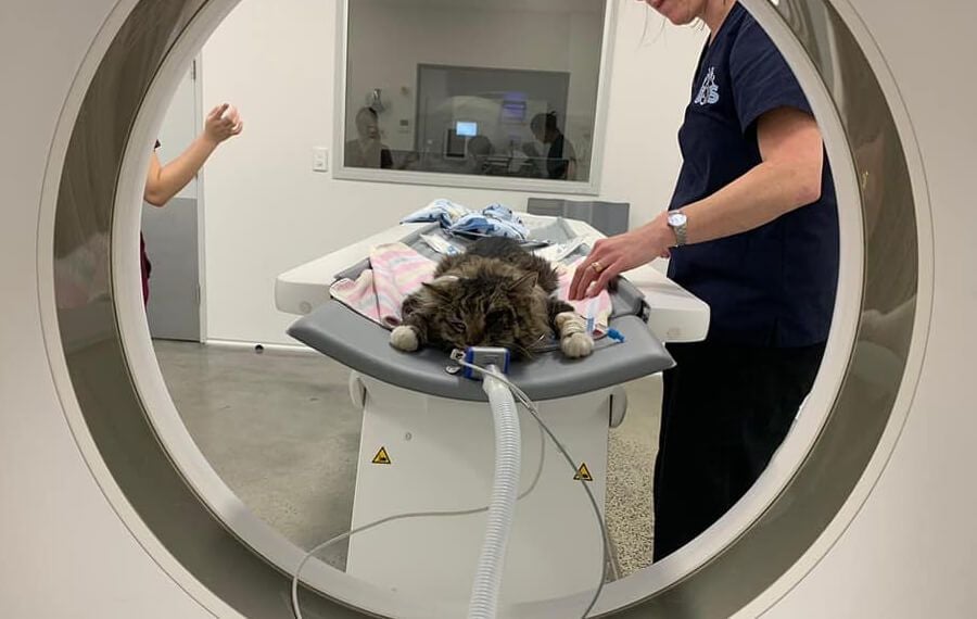 Immediate Care: When Minutes Matter