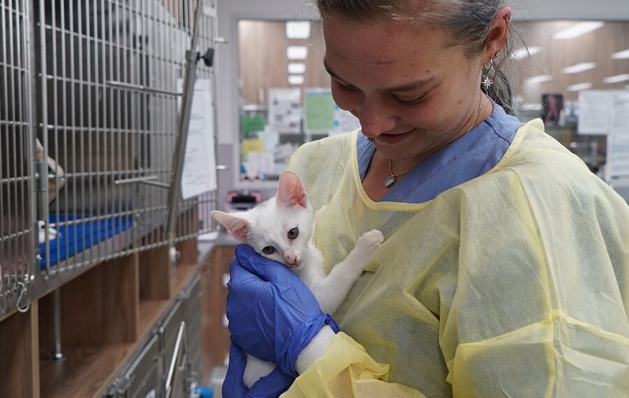 The Journey to Recovery: Crate Confinement