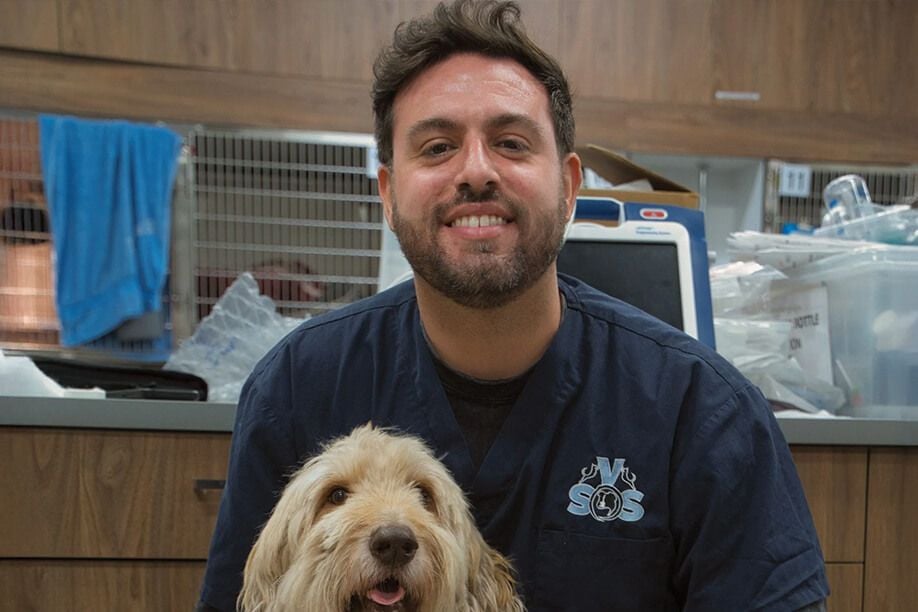 Dr Diego Alza Salvatierra