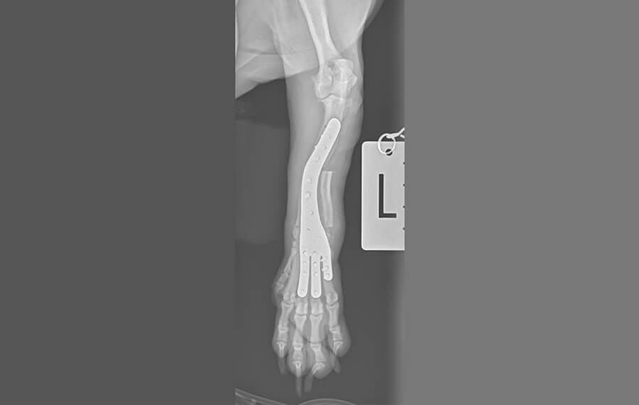 Identifying Safe Corridors