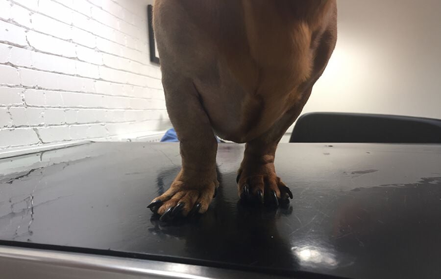 Integrated Rehabilitation