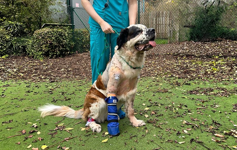 Transparent Planning & Support