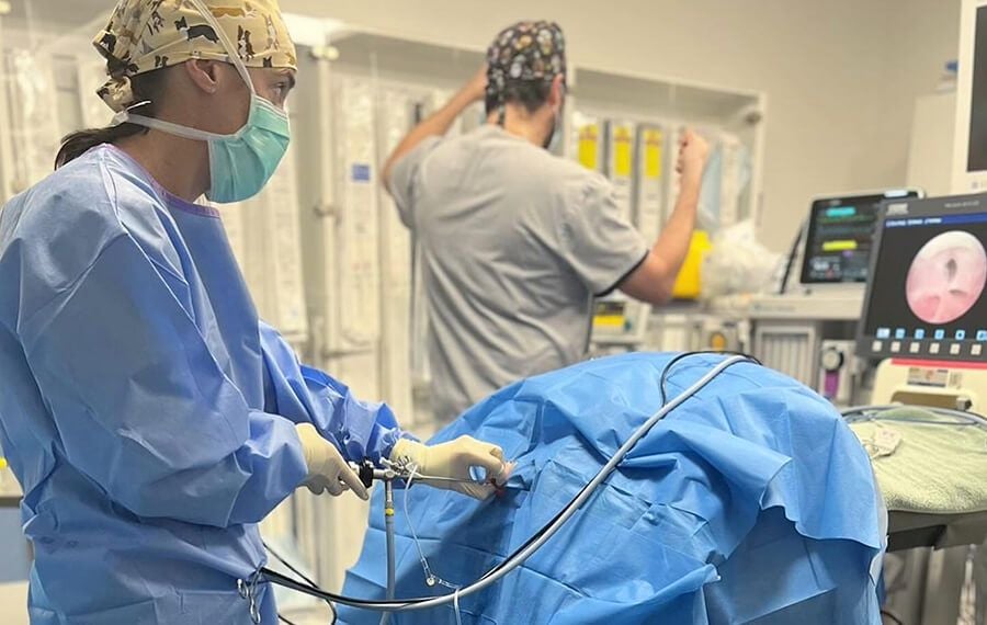 Endoscopic medicine Endoscopic medicine