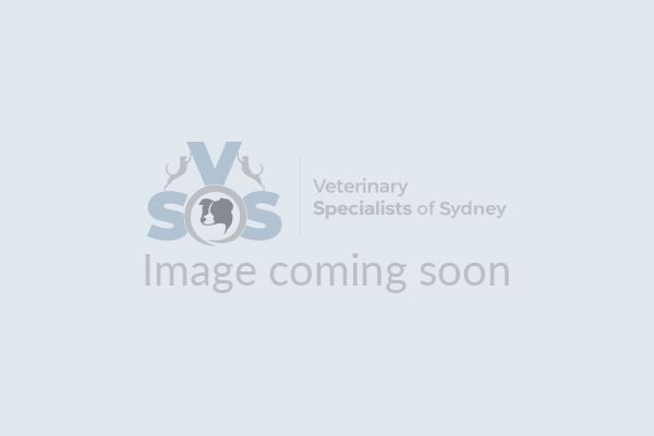 Dr Sam Wells Dr Sam Wells