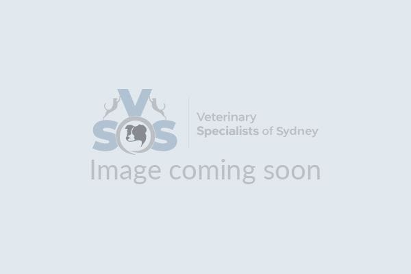 Dr Eleanor Lam Dr Eleanor Lam
