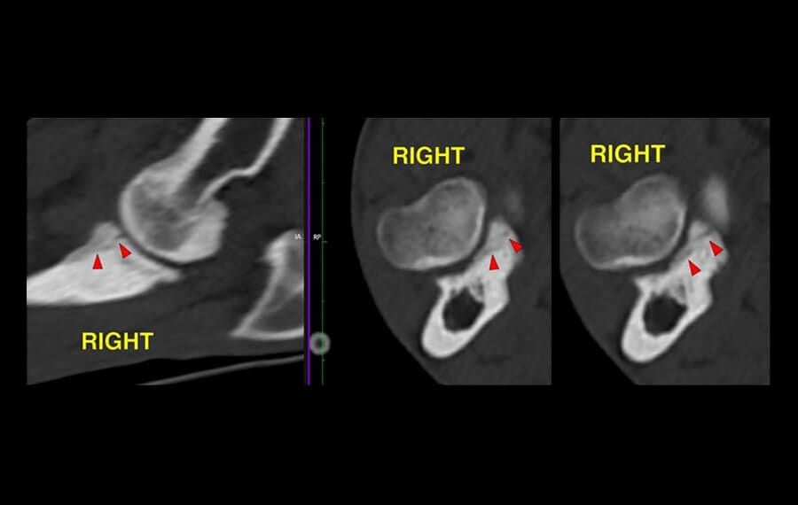 Transparent and Fair Pricing