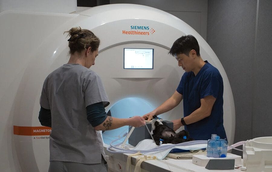 Diagnostic imaging