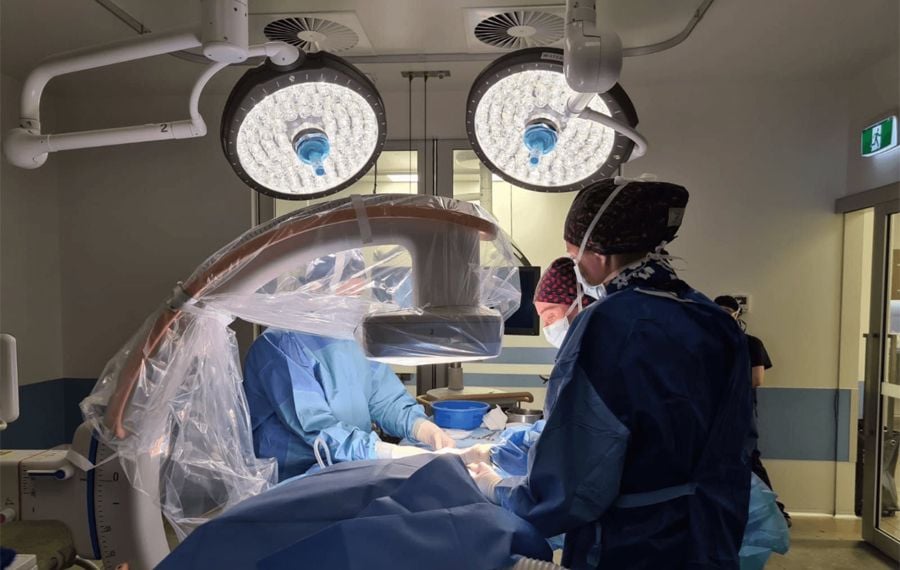 Interventional Radiology & Endoscopy Veterinary Sydney