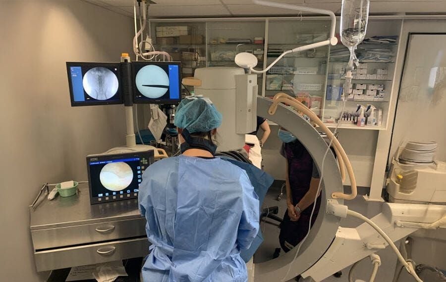 Veterinary Leading Edge Technology in Sydney