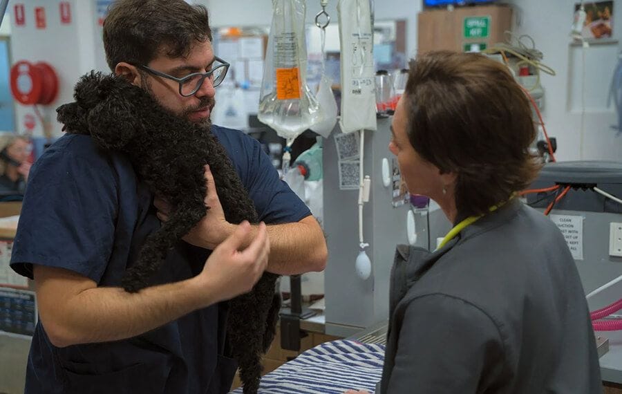 A deeper level of care A deeper level of care