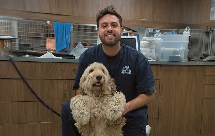 Dr Diego Alza Dr Diego Alza