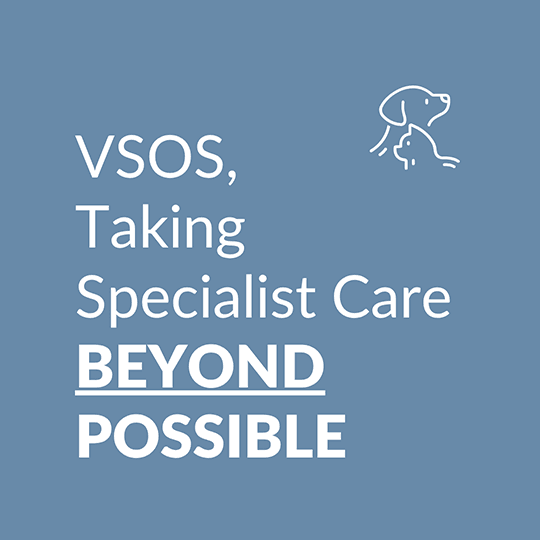 VSOS, Taking Specialist Care Beyond Possible