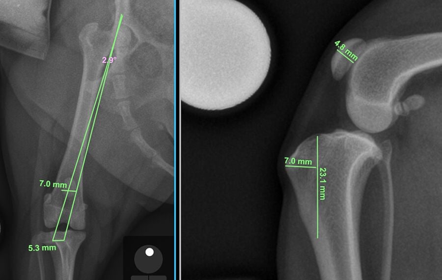 Standard Procedures: Restoring the Balance